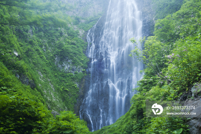 Waterfall in Shirakami-sanchi, Aomori, Japan