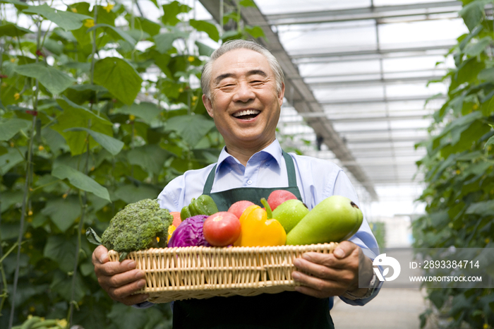 农场主手捧蔬菜