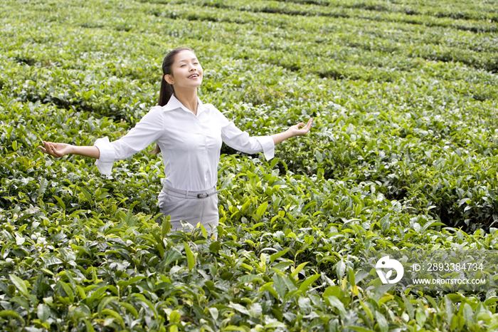 商务女士在茶园享受自然