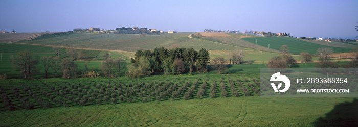 View of the countryside near Ancona, Italy