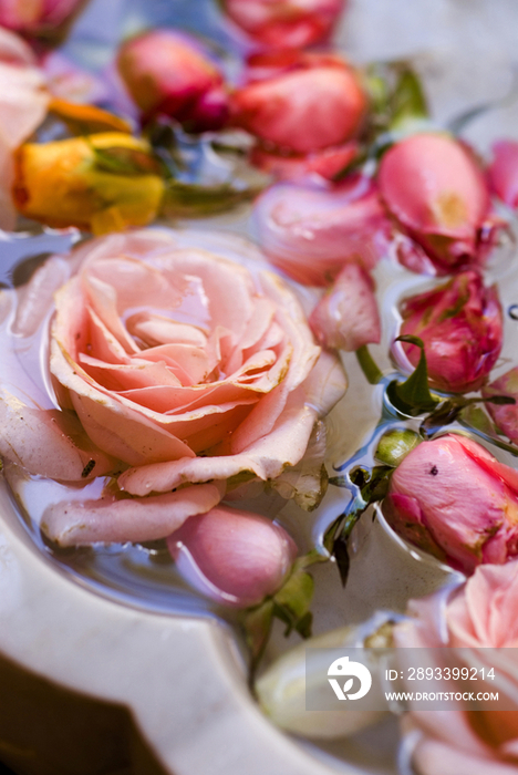 Fresh flowers in the fountain, Kennaria, Marrrakech, Morocco, Africa