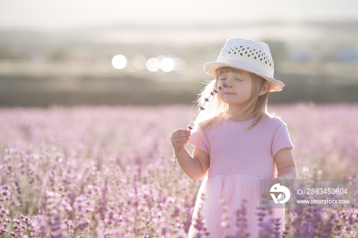有趣的1-2岁小女孩，站在户外草地上闻着薰衣草花。童年。夏天
