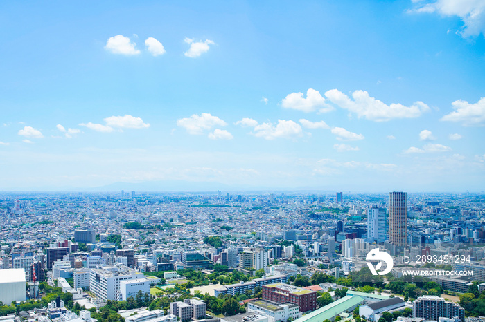 東京市街地（画面右は中目黒）