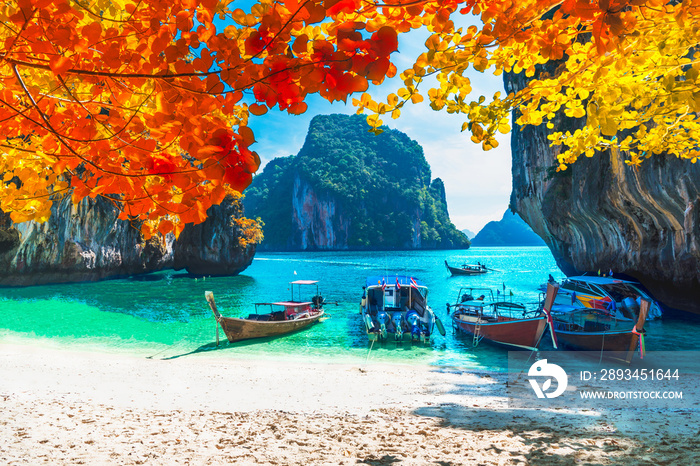 Beautiful nature scenic landscape sea beach in colorful autumn trees, Lao lading island Krabi, Trave
