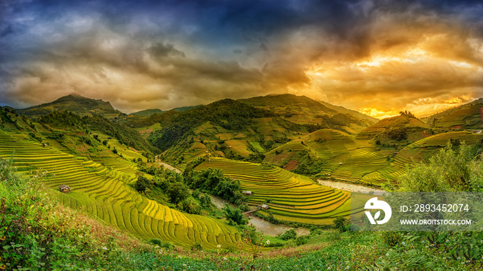 日落时分的梯田上的稻田，越南颜白木长斋
