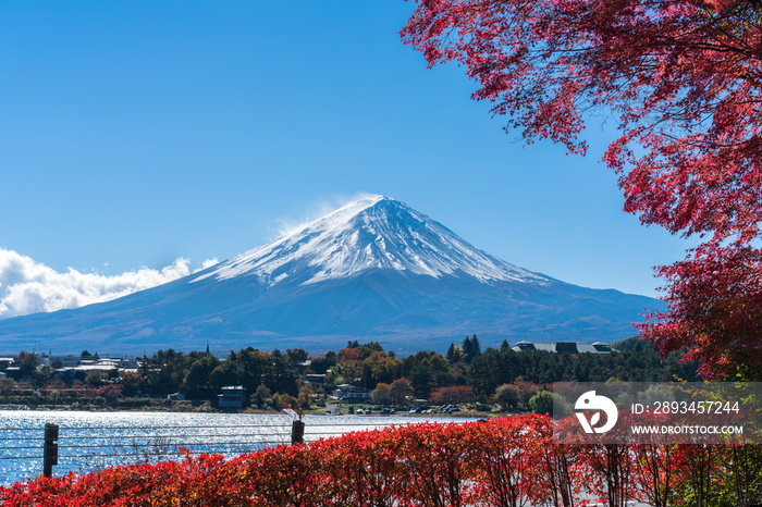 日本秋色富士山