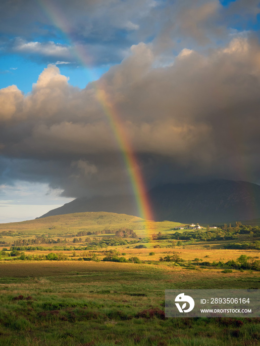 Colorful rainbow in a green field, Dramatic sky, Connemara loop, Ireland. Vertical image.