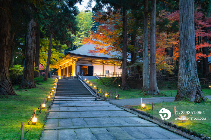 日本のお寺　中尊寺ライトアップされた紅葉の金色堂覆堂