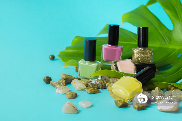 Group of bright nail polishes on blue background. Set of nail polish bottles with green leaf and shi