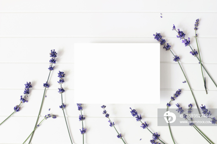 Lavender flowers on white wooden table background. Decorative floral frame, web banner with Lavandul