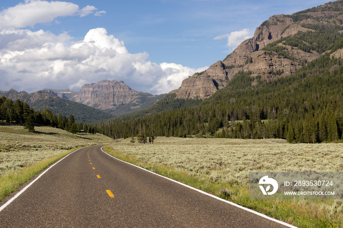 Two Lane Road Transportation Yellowstone National Park Wyoming