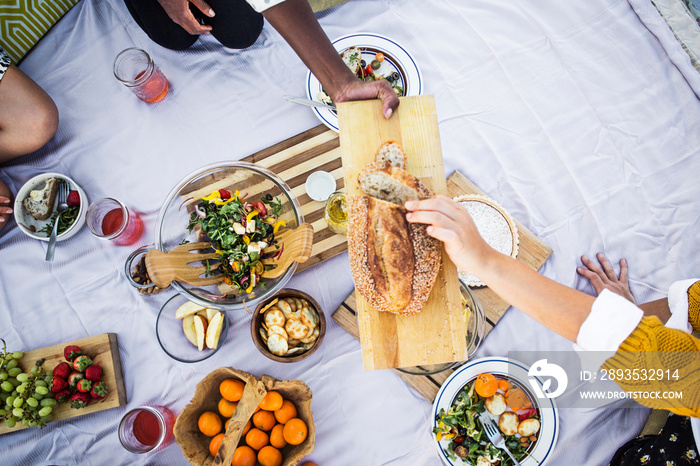 Overhead view of women holding loaf during picnic