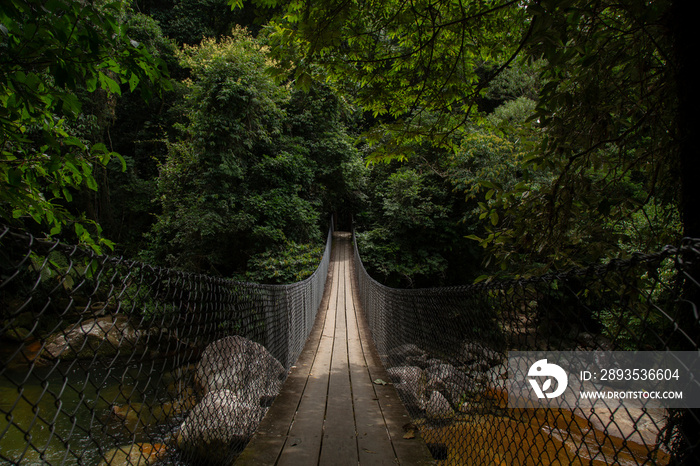 Ilhabela, São Paulo, Brasil: Ponte na travessia da trilha para Praia do Bonete