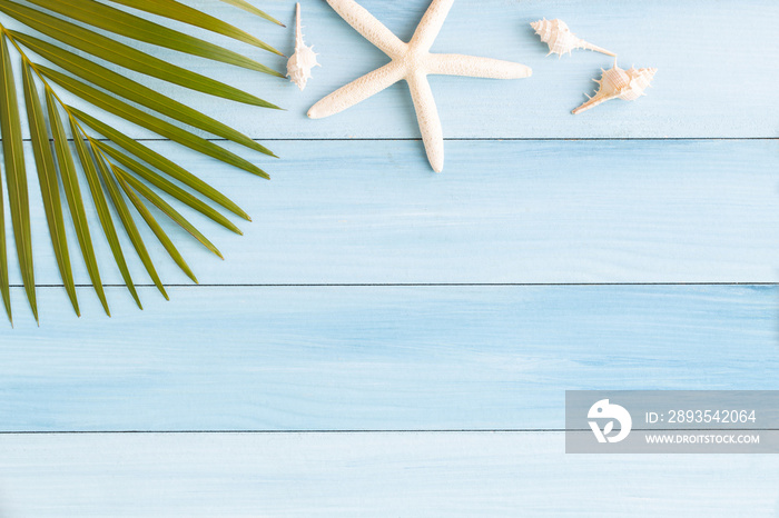 蓝色木背景上的平放照片椰子叶和贝壳，夏季概念俯视图和副本
