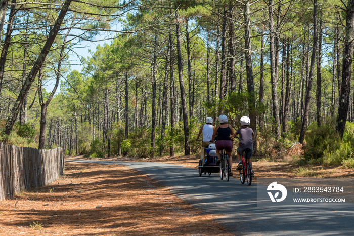 BASSIN DARCACHON (France), piste cyclable dans la forêt