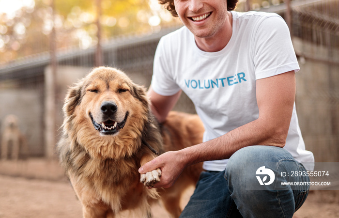 Happy volunteer communicating with dog in shelter