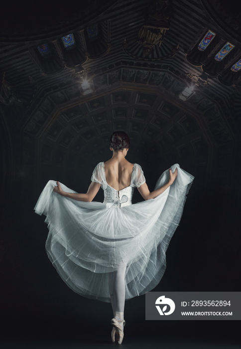 Portrait of the classical ballerina in white dress on black back