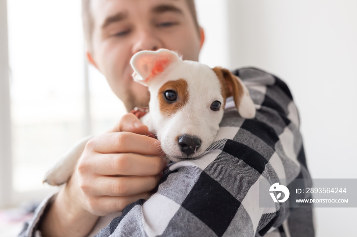 People and pet concept - Close up portrait of jack russell terrier puppy sitting on the mans hands