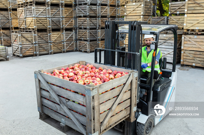 Work in warehouse with eco fruits, modern healthy food industry