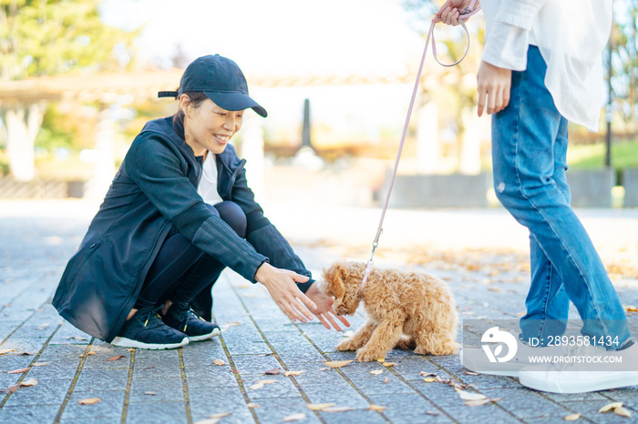 犬の散歩中に挨拶する女性たち