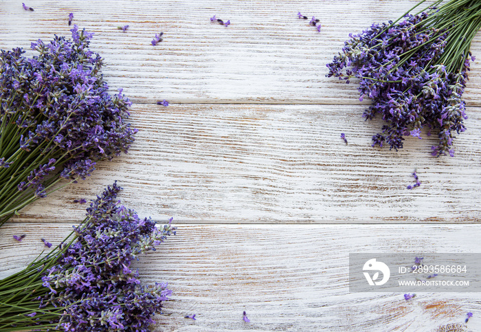 Fresh flowers of lavender