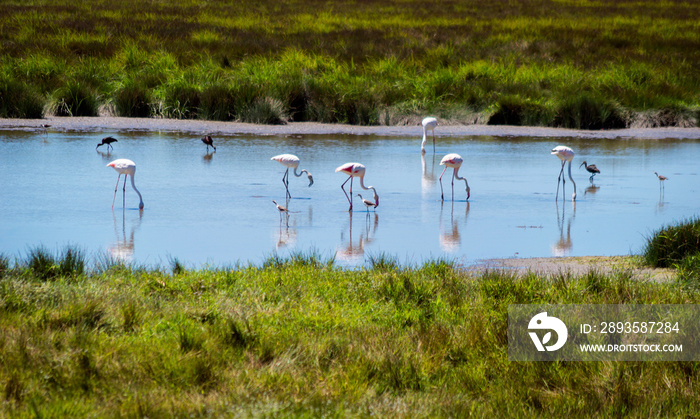 aventura en doñana