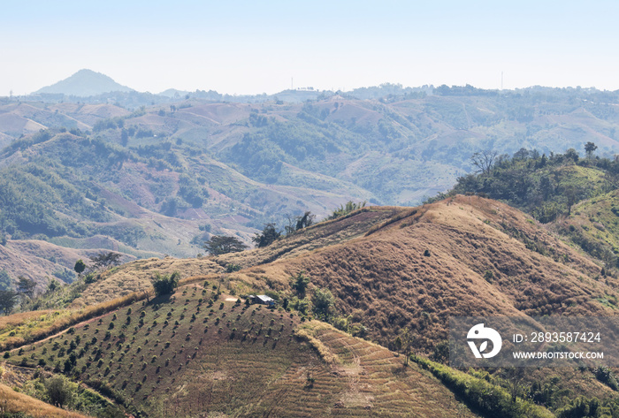 在Phetchabun Provin的考霍，热带雨林山丘上的高景，因农业而砍伐森林