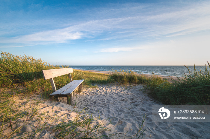 Dank in den Dünen der dänischen Nordseeküste