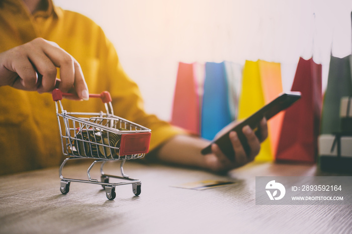 Close up of Shopping Cart, Young woman using smartphone for online shopping website and pay by credi