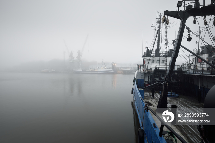 Tugboats and fishing boats (trawlers) moored to a pier in a harbor. Thick white fog. Latvia, Baltic 