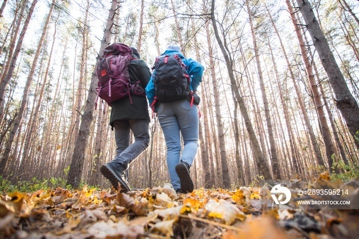 adventure, travel, tourism, hike and people concept - young couple with backpacks in the forest