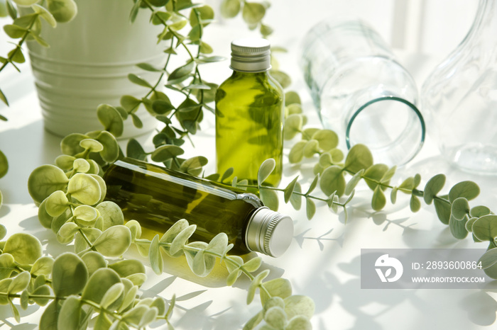 Green cosmetic bottle containers packaging with green herbal leaves in shadow and light effect, Blan