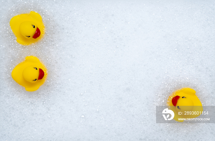 High Angle View of yellow rubber duck in bath swimming in foam w