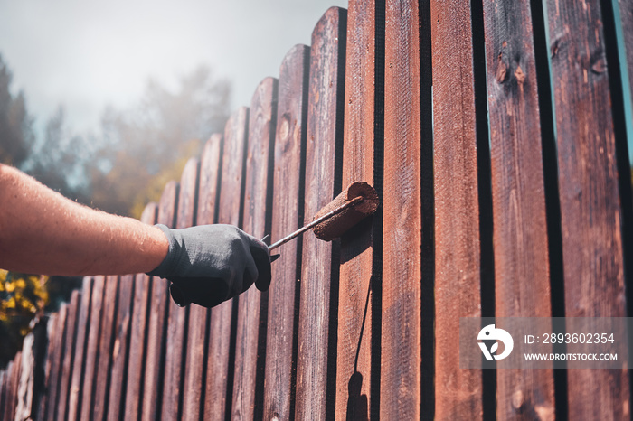 Process of fence renovation at bright sunny day by man in protective gloves.