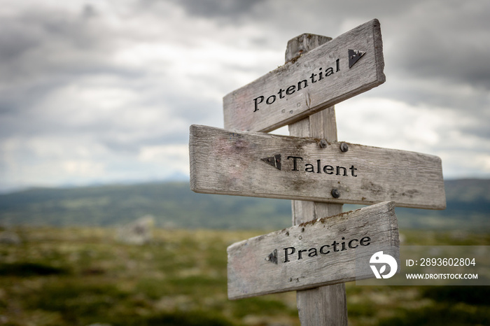 potential, talent and practice text on wooden road sign outdoors in nature.