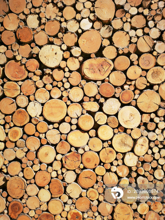 为燃木炉堆放的锯木原木。全框架和垂直格式特写。