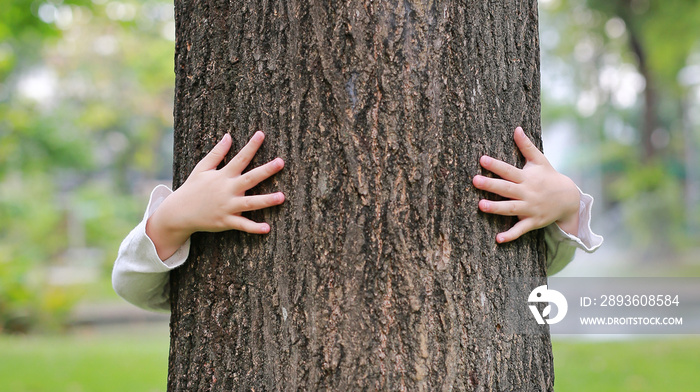 Kid hands embracing nature. Child hug a tree in the park.