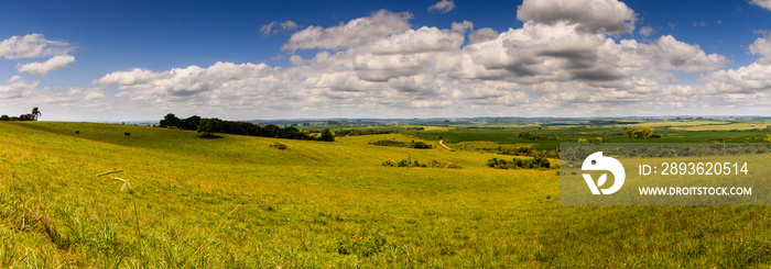 Paisagem do Pampa gaúcho, um panorama dos seus campos verdes.