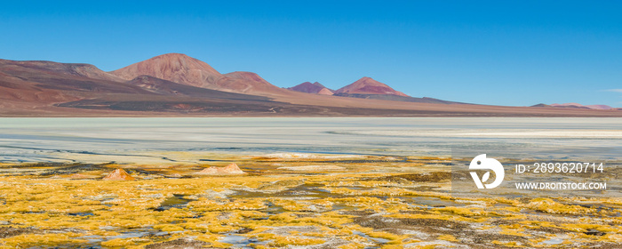 Brava Lagoon Landscape, La Rioja, Argentina