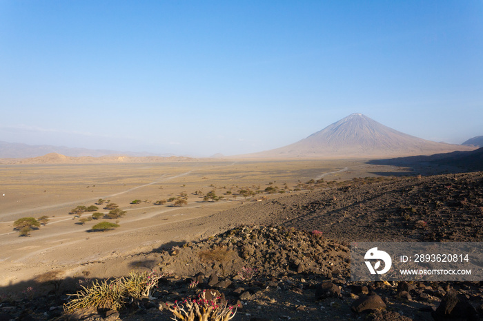 非洲坦桑尼亚纳特龙湖地区景观。Ol Doinyo Lengai火山