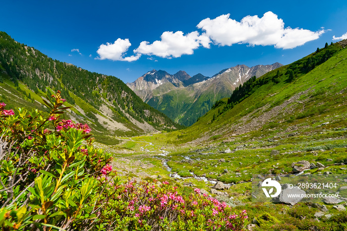 Beautiful summer mountains landscape in Stubai Tyrol Alps near New Regensburger mountain hut, Austri