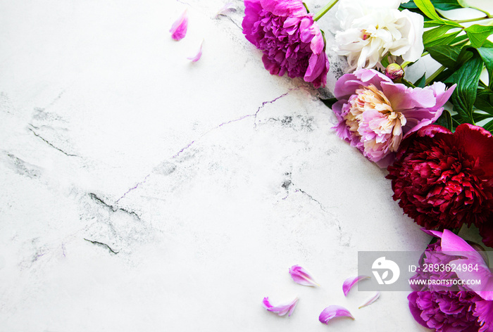 Peony flowers on a marble background