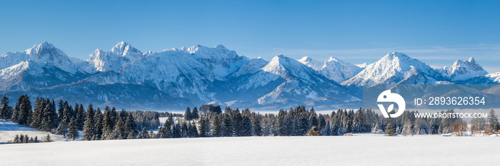 巴伐利亚阿尔卑斯山脉冬季全景