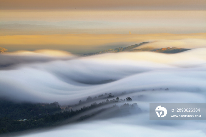 Rolling Fog on Mountain Tamalpais