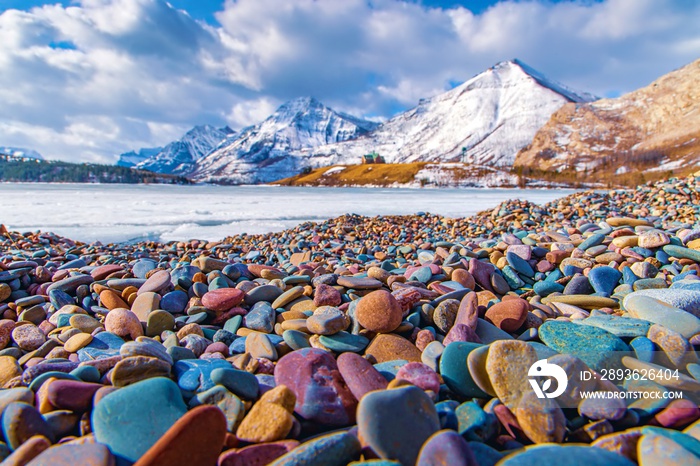 Colourful Rocks At Driftwood Beach In Waterton Lakes National Park