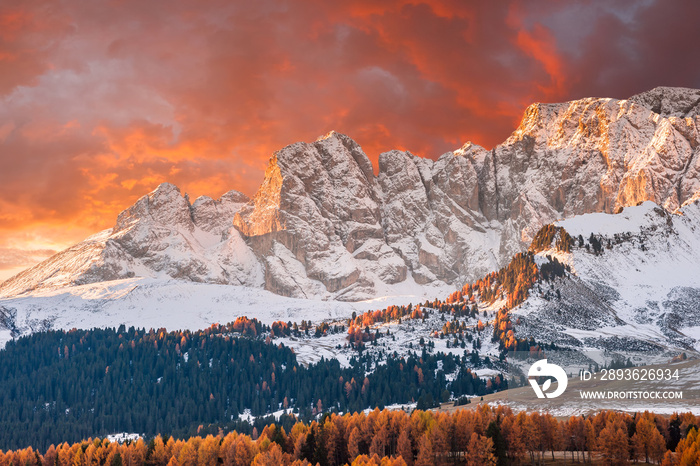 Autumn Morning in Mountain