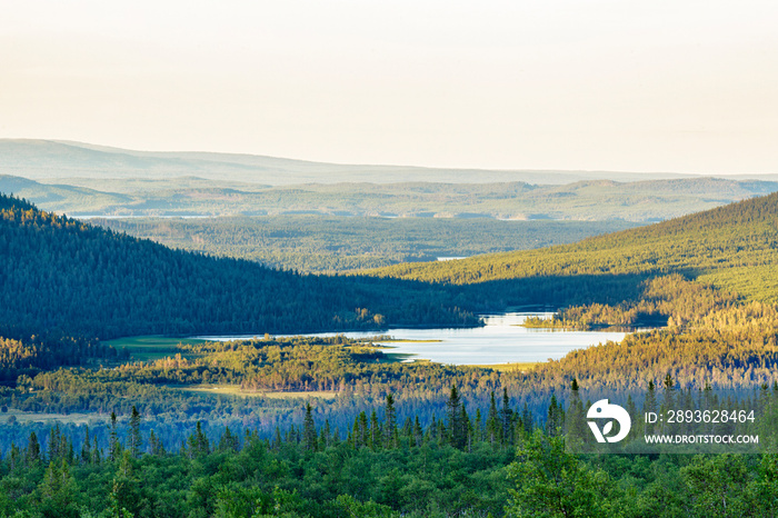 Forest lake in the Nordic wilderness