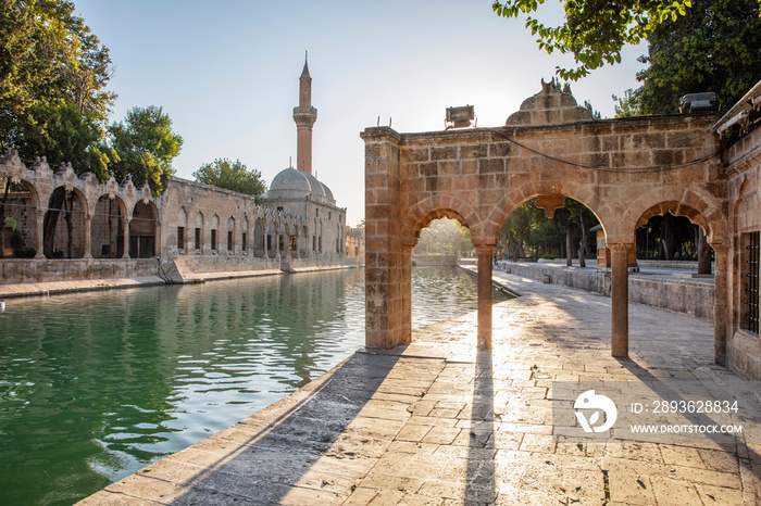 Balikligol，Sanliurfa/土耳其。Balikligo清真寺（Fish Lake）