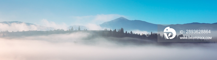 蓝天下的高山全景。美妙的晨曦中的雾蒙蒙的森林。喀尔巴阡山，