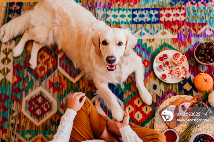 美丽的女人和可爱的金毛猎犬躺在地板上，在家享受健康的早餐